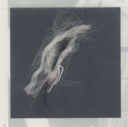 Lot #3306 Apollo 13 Flown Parachute Material Signed by Lovell and Haise [Attested to as Flown by Ken Havekotte] - Image 5