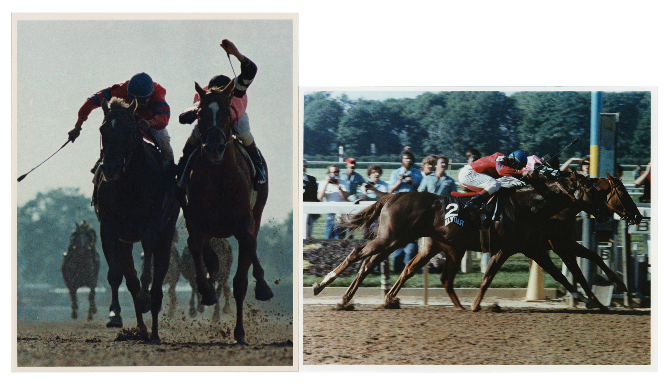 Lot #894 Horse Racing: 1978 Belmont Stakes Program Signed by the Jockeys of Affirmed and Alydar - Image 3
