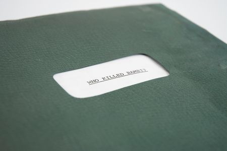 Lot #4523 Sex Pistols Original Draft Script for 'Who Killed Bambi?' - Image 2