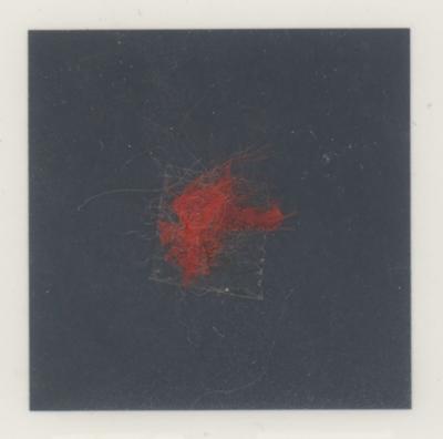 Lot #578 Apollo 13 Flown Parachute Material Signed by Lovell and Haise [Attested to as Flown by Ken Havekotte] - Image 2