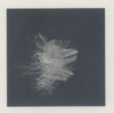 Lot #578 Apollo 13 Flown Parachute Material Signed by Lovell and Haise [Attested to as Flown by Ken Havekotte] - Image 3