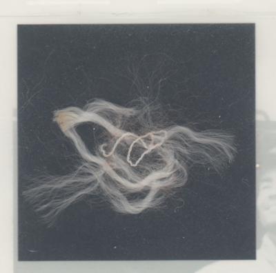 Lot #578 Apollo 13 Flown Parachute Material Signed by Lovell and Haise [Attested to as Flown by Ken Havekotte] - Image 4