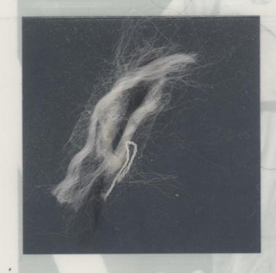 Lot #578 Apollo 13 Flown Parachute Material Signed by Lovell and Haise [Attested to as Flown by Ken Havekotte] - Image 5