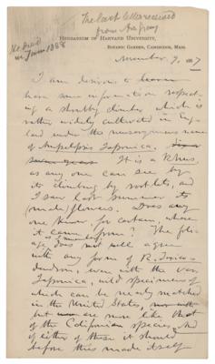 Lot #287 Asa Gray: Inquiring about 