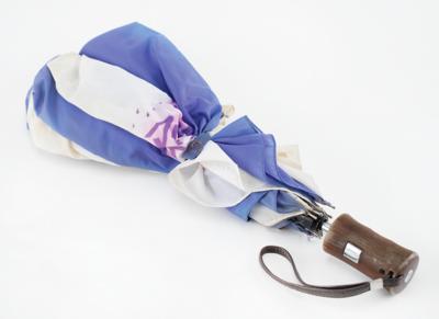 Lot #747 Prince 1984 Purple Rain Promo Umbrella Umbrella - Image 2
