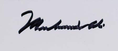 Lot #782 Muhammad Ali Signed Oversized Photograph by John Stewart - Image 2