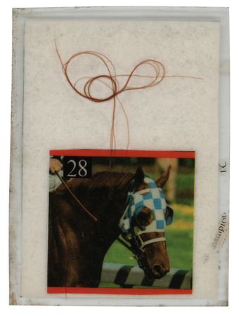 Lot #792 Secretariat Racing Hair from the 1973 Triple Crown Season - Image 1