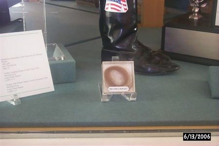 Lot #792 Secretariat Racing Hair from the 1973 Triple Crown Season - Image 3