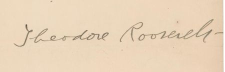 Lot #7056 Theodore Roosevelt Typed Letter Signed - Image 2