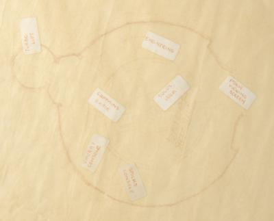 Lot #628 Star Trek USS Enterprise Blueprint for 'Bread and Circuses': USS Enterprise blueprint for the classic Star Trek episode 'Bread and Circuses' - Image 1