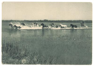 Lot #3038 Pablo Picasso Signed Sketch on Postcard to Man Ray - Image 2