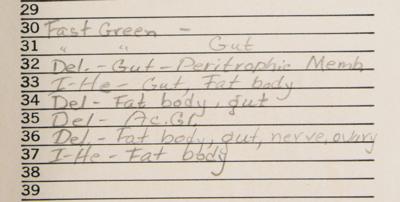 Lot #3032 Apollo 11 Lunar Soil Experiment (Cockroaches, Slides, and Post-Destructive Testing Specimen) - Image 11