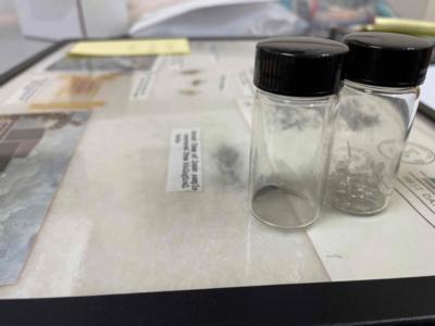 Lot #3032 Apollo 11 Lunar Soil Experiment (Cockroaches, Slides, and Post-Destructive Testing Specimen) - Image 23