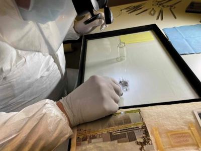 Lot #3032 Apollo 11 Lunar Soil Experiment (Cockroaches, Slides, and Post-Destructive Testing Specimen) - Image 24