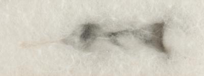 Lot #3032 Apollo 11 Lunar Soil Experiment (Cockroaches, Slides, and Post-Destructive Testing Specimen) - Image 4