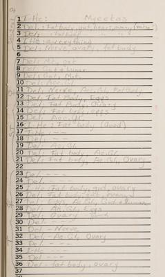 Lot #3032 Apollo 11 Lunar Soil Experiment (Cockroaches, Slides, and Post-Destructive Testing Specimen) - Image 8