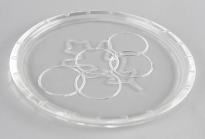 Lot #4260 Berlin 1936 Summer Olympics Souvenir Glass Plate - Image 2