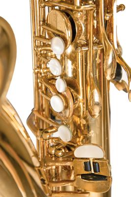 Lot #441 The Simpsons: Doug Norwine Album-Played Saxophone and RIAA Platinum Sales Award - Image 8