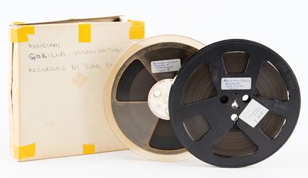 Lot #89 Dian Fossey Archive of (19) Letters, (2) Mountain Gorilla Vocalization Tapes, a Signed Published Article, and a Signed First Edition of Gorillas in the Mist - Image 4