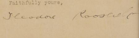 Lot #16 Theodore Roosevelt: 
