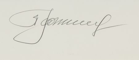 Lot #7722 Alexei Leonov and Valentina Tereshkova Signed Print: 'Seagull' - Image 2