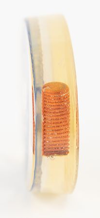 Lot #7198 Apollo 8 Flown Heat Shield Plug - Image 3