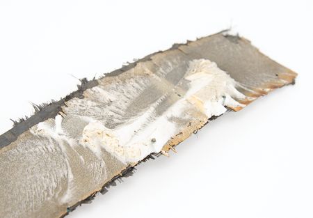 Lot #7789 Firefly Alpha Artifact (Attested as Flown) - Image 3