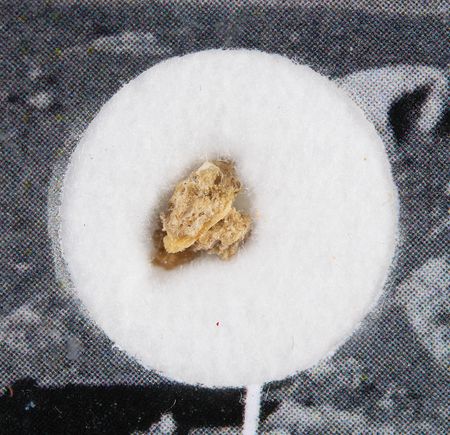 Lot #7821 Al Worden's NWA 4483 Lunar Meteorite Fragment - Image 2