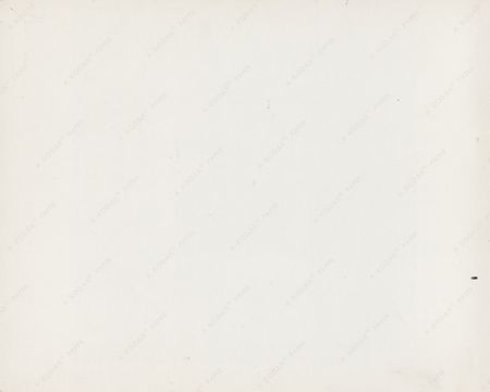 Lot #7308 Apollo 11 Original 'Type 1' Photograph - Image 2