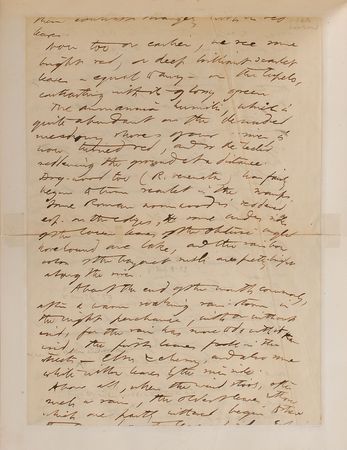 Lot #442 Henry David Thoreau Handwritten Manuscript - Image 2