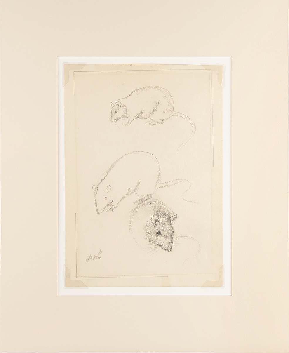 Lot #8026 Edie Sedgwick Original Rats Model Sketch (1961) - Image 1