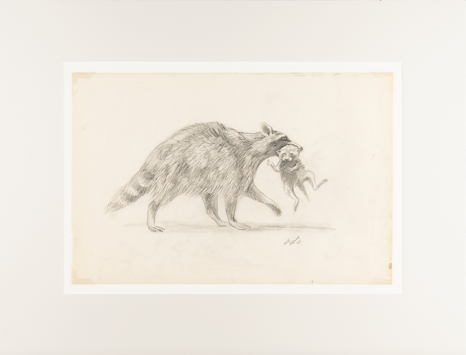 Lot #8029 Edie Sedgwick Original Raccoons Sketch (1962) - Image 1