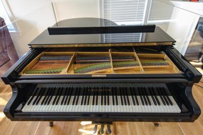 Lot #8267 Billy Joel's Stage-Used C. Bechstein Model M Grand Piano - Image 7