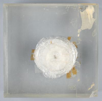 Lot #12 Otto Berg's Hypervelocity Impact Experiment - Image 4