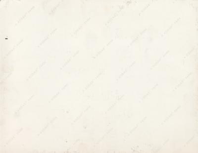 Lot #348 Apollo 15: Al Worden Original 'Type 1' Photograph - Image 2