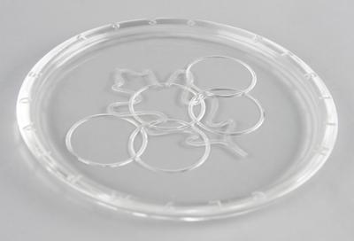 Lot #6252 Berlin 1936 Summer Olympics Souvenir Glass Plate - Image 2