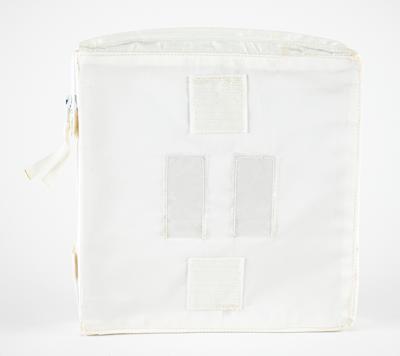 Lot #417 Space Shuttle Sample Purge Kit Pouch Assembly - Image 1