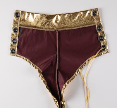 Lot #8176 Mayte Garcia's Stage-Worn Gold Mini-Shorts from the 1995 American Music Awards - Image 3