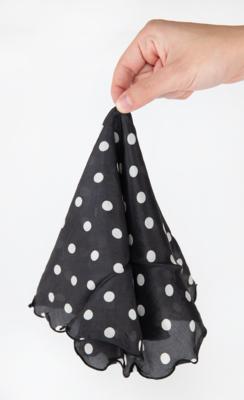 Lot #8073 Prince's Black-and-White Polka Dot Scarf - Image 1