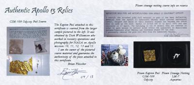Lot #9394 Apollo 13 Kapton and Stowage Netting (Attested as Flown) - Image 1