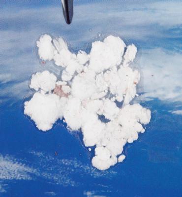 Lot #9805 STS-41G FIB Section (Attested as Flown) - Image 2