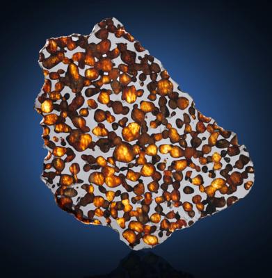 Lot #9941 Erg Chech 007 Pallasite Meteorite Slice