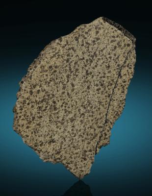 Lot #9956 NWA 13885 Mars Meteorite Slice