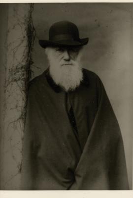 Lot #182 Charles Darwin Signature and Hand-Addressed Envelope - Image 3