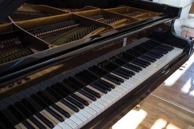 Lot #3246 Billy Joel's Stage-Used C. Bechstein Model M Grand Piano - Image 2