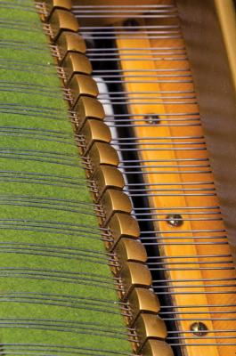 Lot #3246 Billy Joel's Stage-Used C. Bechstein Model M Grand Piano - Image 9