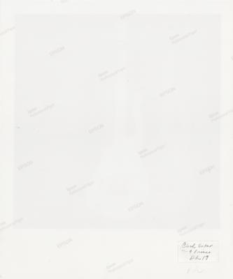 Lot #3614 Prince Cloud Guitar Photograph by Doug Henders - Image 2