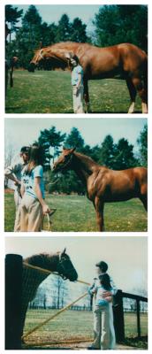 Lot #6100 Secretariat: 16-inch Length of Tail Hair and Diamond Horseshoe - Image 6
