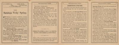 Lot #273 New York: Saratoga Vichy Spring Co. Brochure - Image 2