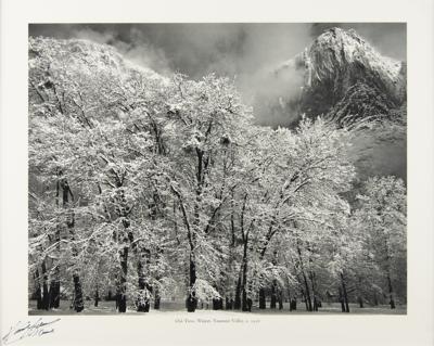 Lot #423 Ansel Adams Signed Print